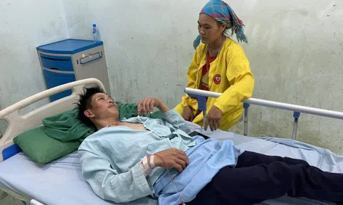 Hà Giang: 8 người nhập viện sau khi ăn hoa chuông xào trứng gà