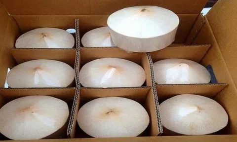 Thêm loại trái cây Việt Nam được xuất khẩu sang Mỹ “ngay lập tức”, kỳ vọng đem về doanh thu tỷ đô