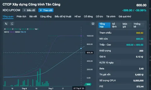 Choáng vì giá cổ phiếu Tân Cảng (XDC) giảm 40%, thiết lập kỷ lục mới của sàn chứng khoán