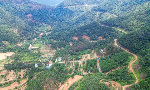 Rừng Sóc Sơn bị "xẻ thịt": Sẽ phá dỡ 5 công trình xây dựng trái phép