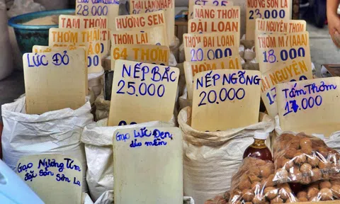 Tp.HCM: Giữ ổn định giá gạo trước biến động của thị trường