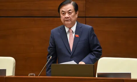 Giá lúa gạo tăng: Bình tĩnh để nhận định trước mặt trái