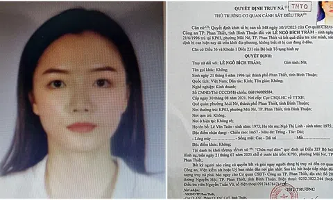 Chân dung "hotgirl" bị truy nã toàn quốc về tội "Chứa mại dâm"