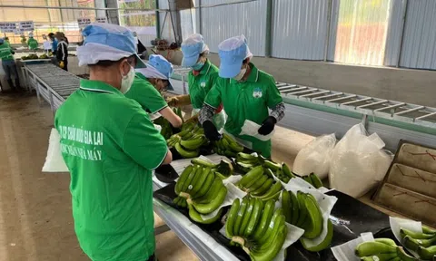 Công ty của bầu Đức thoát lỗ ngoạn mục nhờ làm điều này