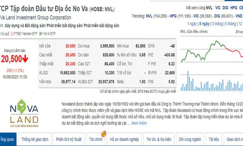Novagroup đăng ký bán thêm 43 triệu cổ phiếu NVL