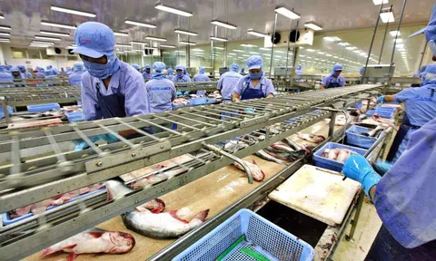 Thủy sản loay hoay vì rớt giá, kỳ vọng thị trường cuối năm