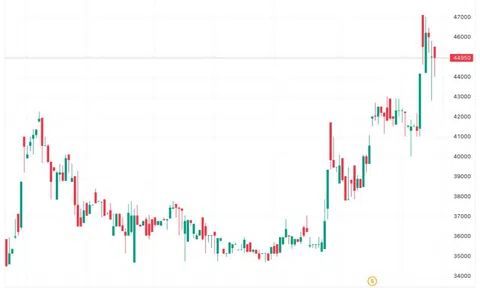Gỗ An Cường bị xử phạt và truy thu thuế hơn 2 tỷ đồng