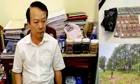 Đình chỉ công tác thẩm phán nhận hối lộ 16 cọc tiền ở Gia Lai