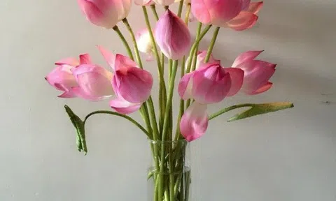 Top 7 loại hoa nên dâng cúng Rằm tháng 7, loài hoa đầu tiên được nhiều người lựa chọn