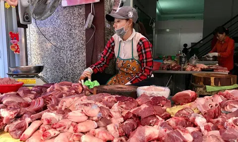 Giá lợn hơi ồ ạt giảm "rời xa" mốc 60.000 đồng/kg