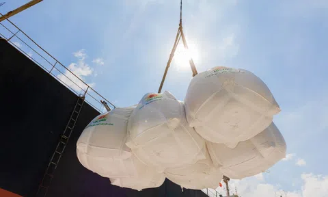 Vượt Thái Lan, giá gạo Việt Nam được giao dịch cao nhất thế giới