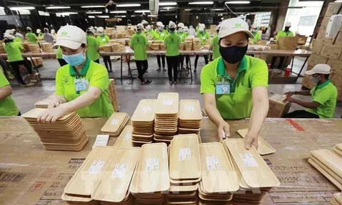 Xuất khẩu gỗ và sản phẩm gỗ dần phục hồi: Kỳ vọng những tháng cuối năm