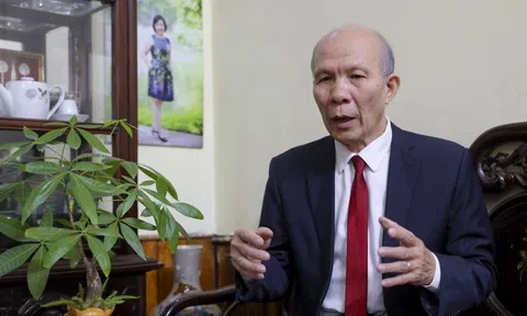 Giá gạo Việt Nam đắt nhất thế giới, doanh nghiệp có nên “đu đỉnh”?