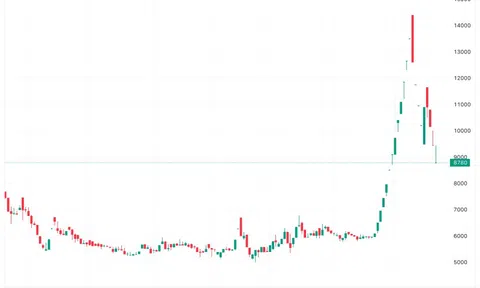 Angimex xin chậm nộp báo cáo tài chính kiểm toán bán niên 2023