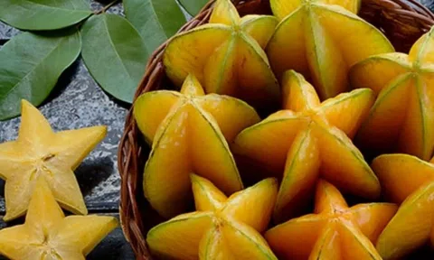 Bật mí công dụng tốt như "vàng mười" của quả khế