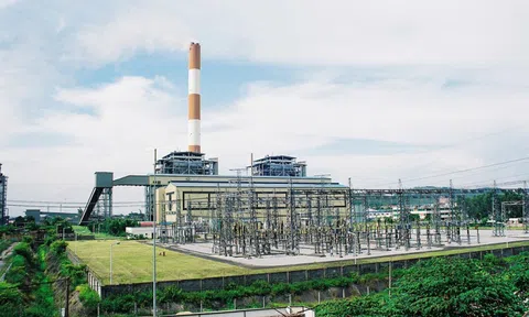 Năng lượng REE đăng ký bán 1,5 triệu cổ phiếu Nhiệt điện Phả Lại