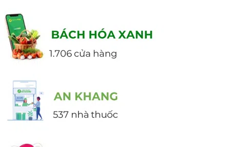 Bách Hóa Xanh trở thành "gà đẻ trứng vàng" cho doanh thu của MWG