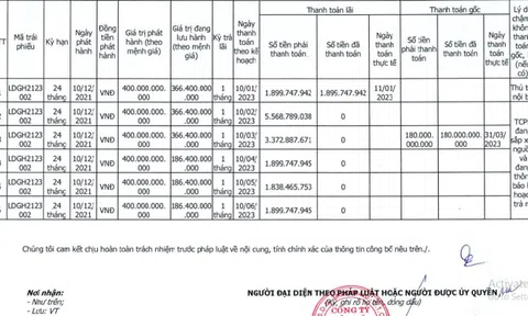 LDG nợ 5 kỳ trả lãi trái phiếu trong 6 tháng đầu năm