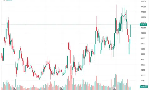 Thị trường bất lợi, CEO Hoà Bình chi hơn 148 triệu mua cổ phiếu HBC