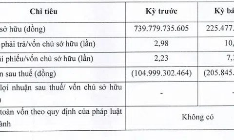 Đầu tư năng lượng Nam Phương chậm trả lãi trái phiếu hơn 14 tỷ đồng