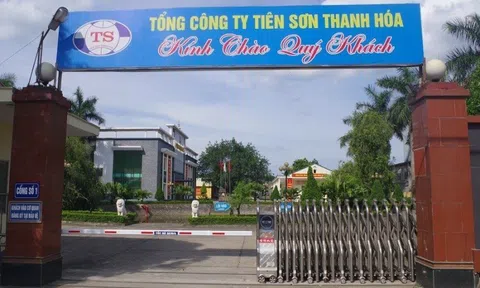 May Tiên Sơn dự kiến phát hành cổ phiếu cho cổ đông hiện hữu