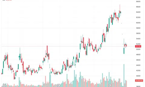 Bán "chui" cổ phiếu, Chủ tịch LDG bị phạt hơn 520 triệu đồng