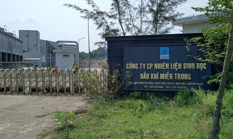 Công ty con của Lọc dầu Bình Sơn nợ 1.500 tỷ đồng, bị 3 ngân hàng kiện