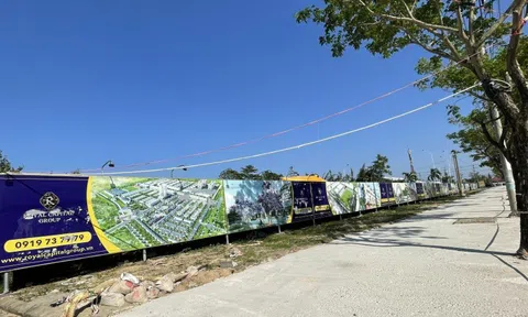 Tập đoàn Royal Capital, Cổ phần Đất Quảng nợ bảo hiểm hàng tỷ đồng