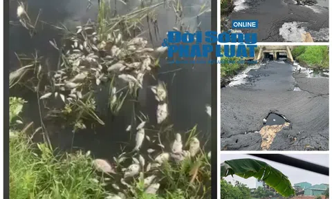 Vụ xả thải của công ty Prime Vĩnh Phúc: Làm rõ vi phạm, đề nghị công an vào cuộc