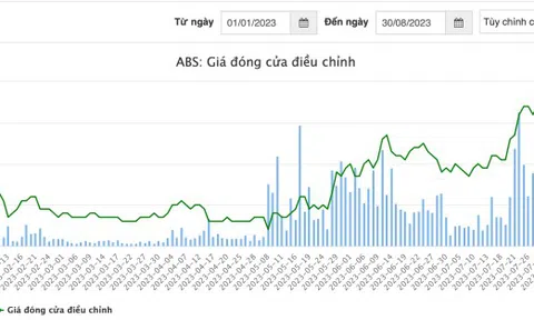 Sau 5 lần hoãn, khi nào cổ đông của Bitagco mới được nhận cổ tức?
