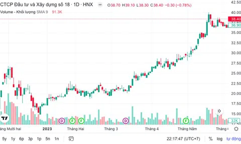 Licogi 18 bị phạt và truy thu thuế gần 200 triệu đồng