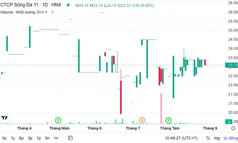 Đầu tư Energy Việt Nam tiếp tục rót vốn vào Sông Đà 11