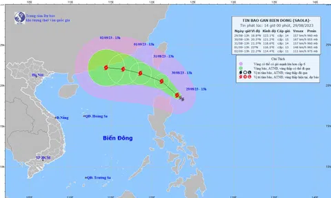 Bão Saola giật cấp 17 vừa hình thành nối đuôi ngay là bão Haikui