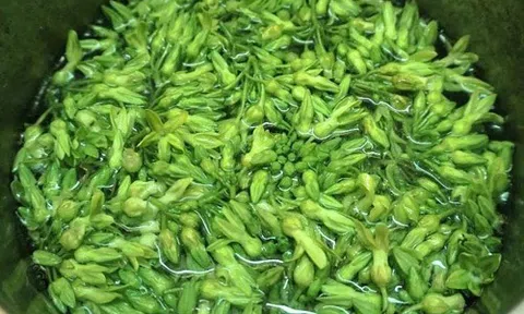 Loại rau quen thuộc của người Việt, giúp giảm đau đầu "nhanh gấp tỷ lần" thuốc