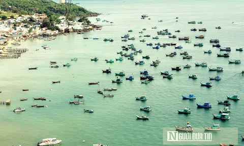 Kiên Giang thu ngân sách Nhà nước 8 tháng năm 2023 tăng hơn 24%