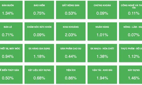 Cổ phiếu vốn hoá lớn kéo VN-Index tăng bứt phá