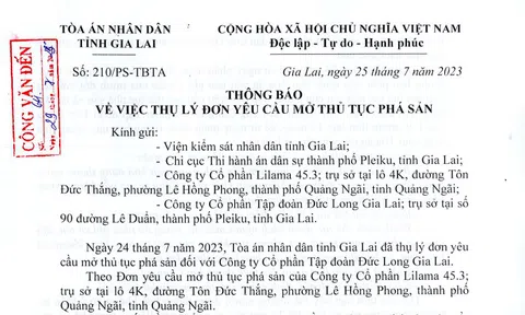 Đức Long Gia Lai bị chủ nợ nộp đơn yêu cầu tòa án mở thủ tục phá sản