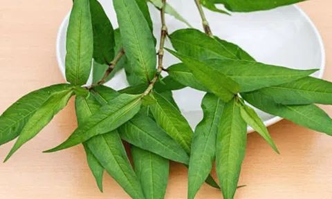 Loại gia vị bị đổ oan ăn nhiều sẽ gây giảm ham muốn, vô sinh lại có tác dụng giải độc