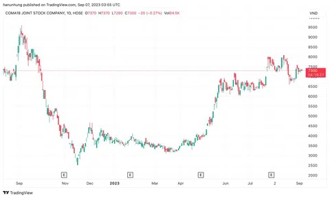Còn lỗ luỹ kế, HOSE giữ nguyên diện cảnh báo đối với cổ phiếu CIG