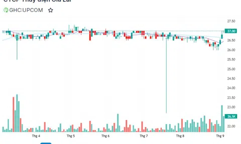 Điện Gia Lai sắp nhận hơn 44 tỷ đồng cổ tức từ công ty con