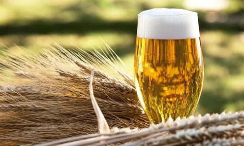 Đường Man báo lỗ nửa đầu năm 2023, nợ phải trả hơn 1.140 tỷ đồng