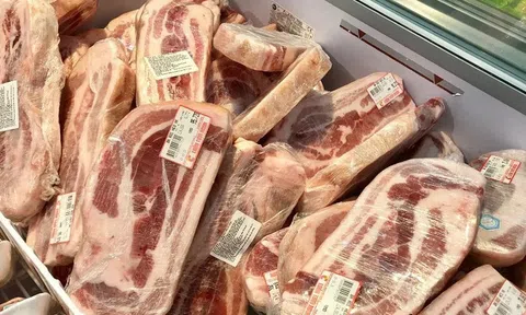 Nhập khẩu thịt và sản phẩm từ thịt giảm nhẹ sau nhiều tháng tăng liên tiếp