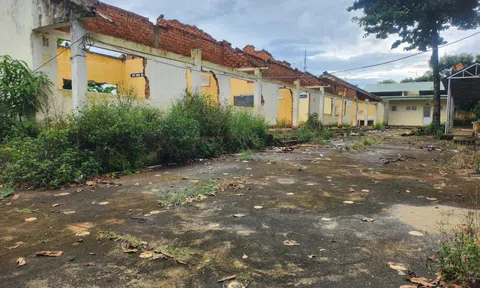 Vì sao công trình xây dựng hơn chục tỷ đồng tại trường tiểu học bị bỏ dở?