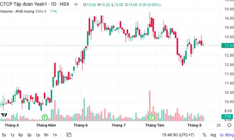 Yeah1 thu về 450 tỷ đồng từ đợt chào bán cổ phiếu cho 15 cá nhân