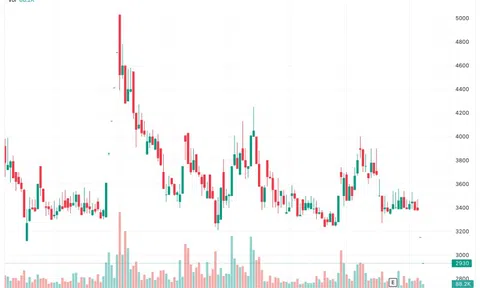 Cổ phiếu TGG giảm kịch sàn sau thông tin bị đình chỉ giao dịch