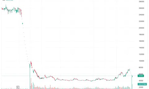 Thi giá chạm đáy, lãnh đạo Hải Phát bị giải chấp gần 2 triệu cổ phiếu