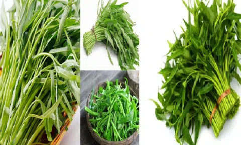 Loại rau "quốc dân" nhiều người thích không ngờ phòng được cả ung thư