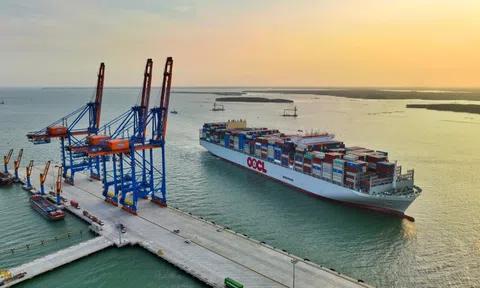 Gemadept bị Cục thuế Tp.HCM phạt và truy thu 3,5 tỷ đồng