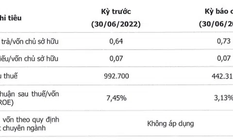 VSIP huy động thành công lô trái phiếu 1.000 tỷ đồng