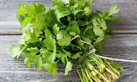 Loại rau "nhỏ nhưng có võ” làm thuốc chữa bệnh, thường có trong mâm cơm của người Việt